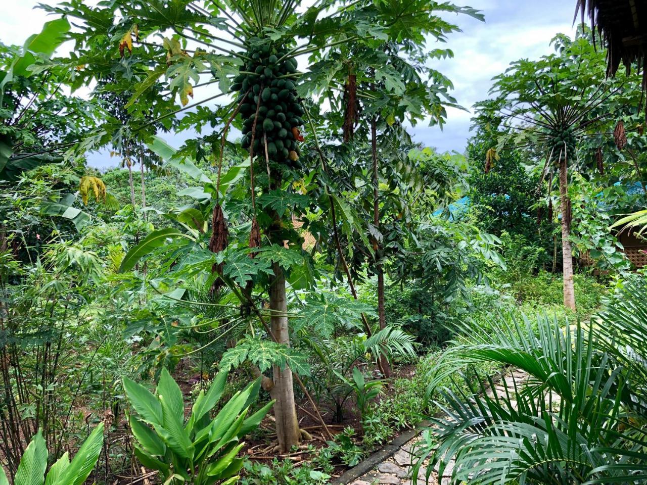 House @Bohol Garden Homes Đảo Đảo Panglao Ngoại thất bức ảnh