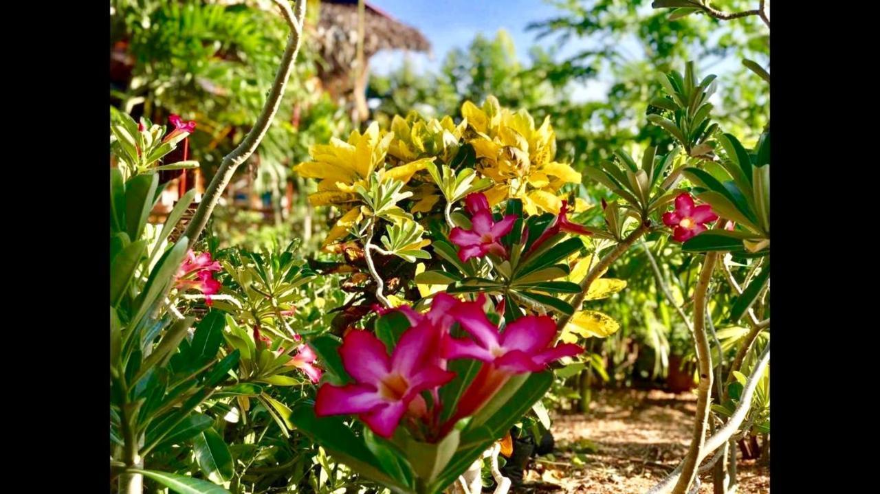 House @Bohol Garden Homes Đảo Đảo Panglao Ngoại thất bức ảnh