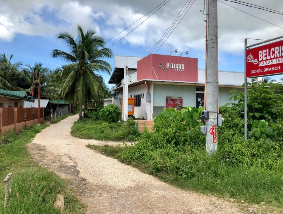 House @Bohol Garden Homes Đảo Đảo Panglao Ngoại thất bức ảnh
